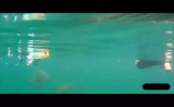 1Pc Random Color Topwater Fishing Lure With High Speed Rotating Tail Popper 13g35g Floating Lure Sea Fishing Lure Hard Bait Floating Water Pencil Bait Fishing Gear