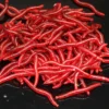 100 Pieces Lifelike Fishy Smell Red Worms Soft Bait Simulation Earthworm Carp Bass Fishing Lures Artificial Silicone