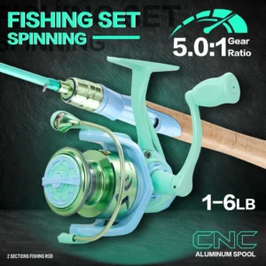Full Set Spinning Fishing Rod Carbon Fiber 2 Section and Fishing Reel 10003000 Series