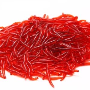 d5d3bc48e719ae9c9b31f384d59cfb34.webp 100 Pieces Lifelike Fishy Smell Red Worms Soft Bait Simulation Earthworm Carp Bass Fishing Lures Artificial Silicone