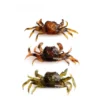 Lifelike Soft Crab Fishing Lure Baits 1pc Random Color Fish Baits with Hook for Freshwater Saltwater Minnow Trout Perch Fishing